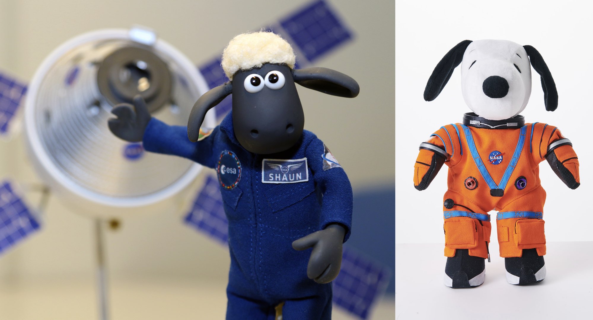 Shaun le mouton (gauche) dans une version peluche habillée d’une combinaison de l’ESA voyagera avec le chien Snoopy (droite). Crédit : Cité de l’espace/ESA/NASA